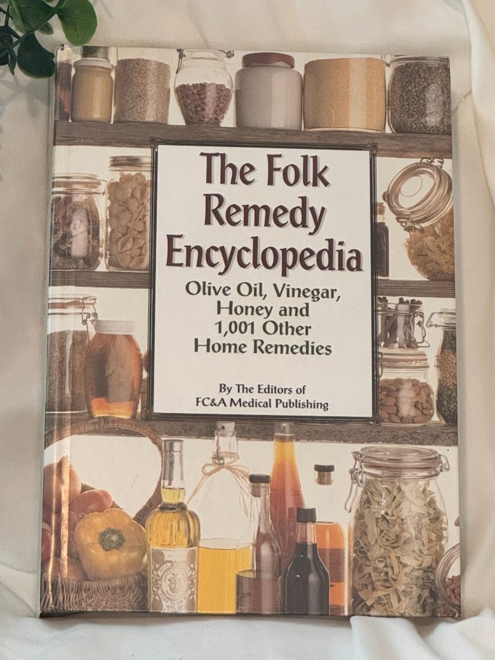 The Folk Remedy Encyclopedia Natural Health Home Remedies Book with Bonus Guide